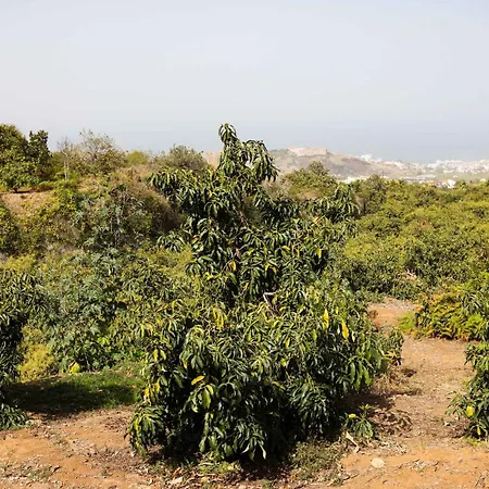 Ferienhaus Ranas 1 *