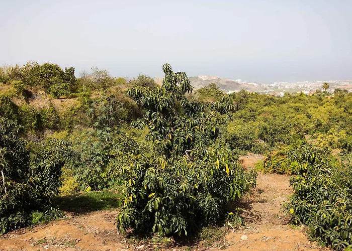 בית נופש Ranas 1 *